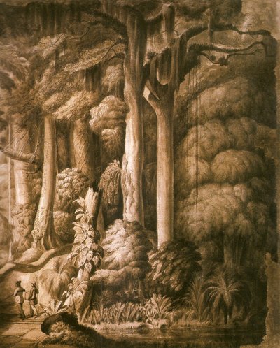 Brazilian Forest (Detail) by Manuel Araújo de Porto Alegre
